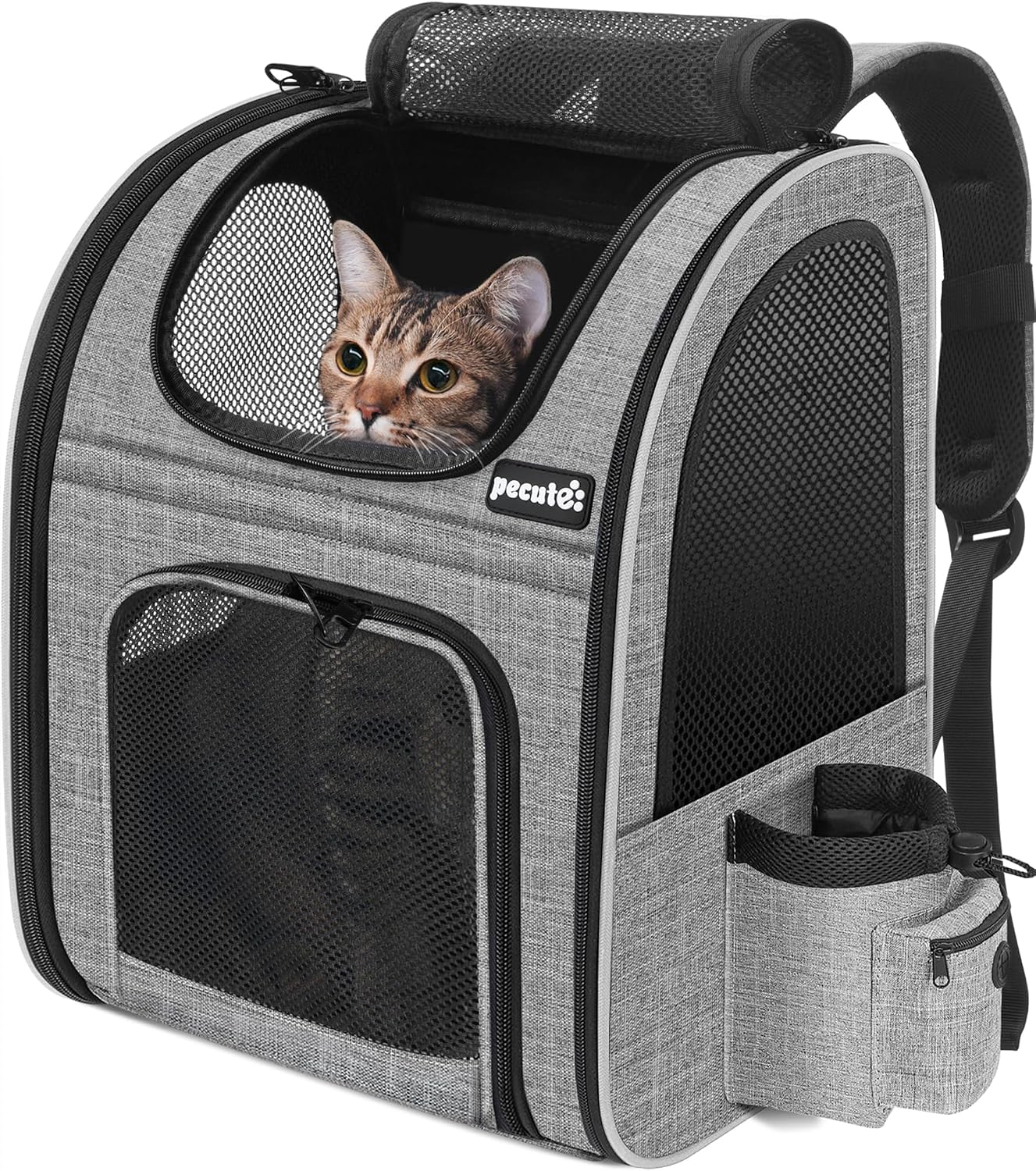 Pecute Pet Backpack with Mesh Window